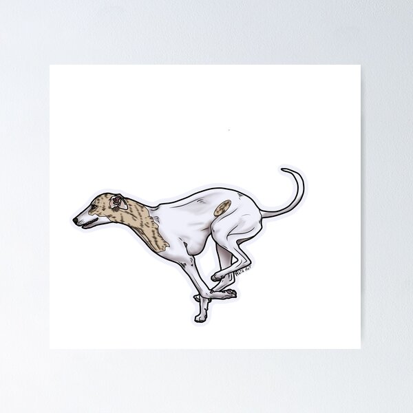 Aperçu de l'œuvre Whippet bringé créée et vendue par Rhia4rt.