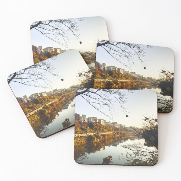 Item preview, Autumn Reflections: Tokyo’s Urban Serenity designed and sold by FrenchInJapan.