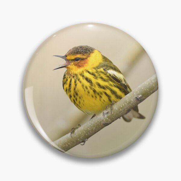 Item preview, Cape May Warbler designed and sold by GyrKiteTours.