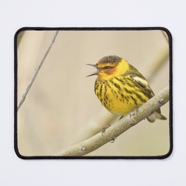 Item preview, Cape May Warbler designed and sold by GyrKiteTours.
