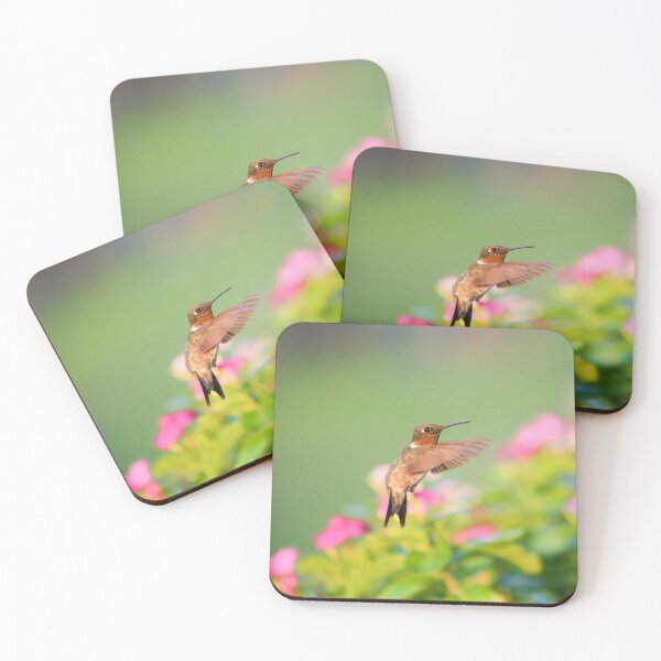 Item preview, Male Ruby-Throated Hummingbird Above The Vinca designed and sold by wenzler.