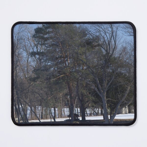 Item preview, Winter Trees in Snow Under Blue Sky designed and sold by CountyKent.