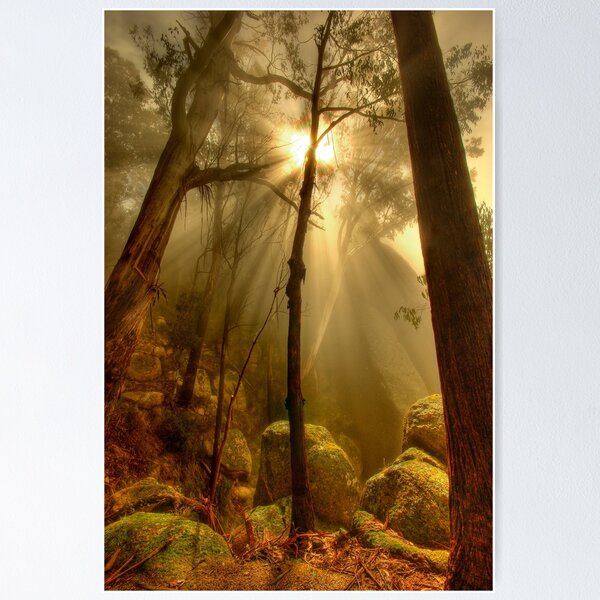 Item preview, Afternoon mist, Mount Buffalo designed and sold by Kevin McGennan.