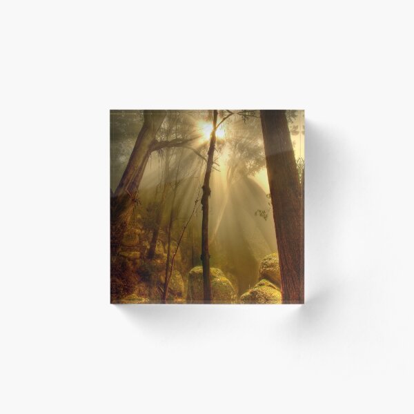 Afternoon mist, Mount Buffalo Acrylic Block