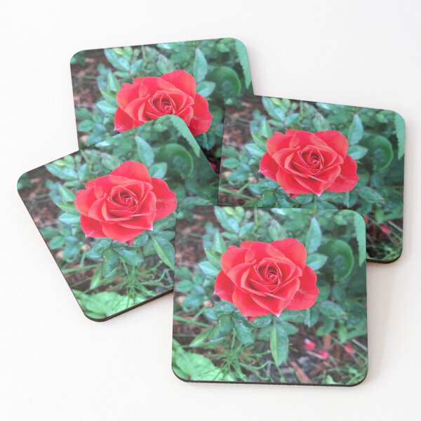 Item preview, Red Rose Photo designed and sold by Mseabro.