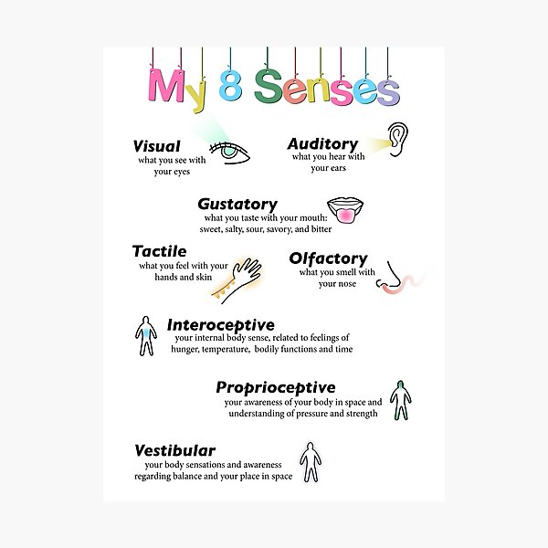 Item preview, 8 senses poster designed and sold by RileyRosa.