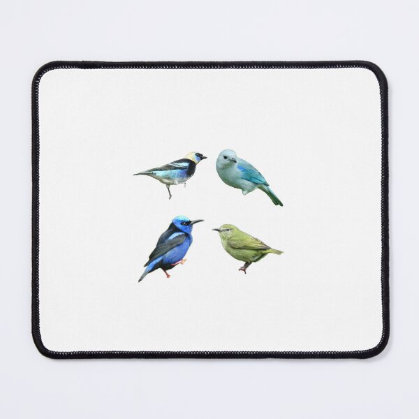 Item preview, Colorful Birds designed and sold by Andie Janik.