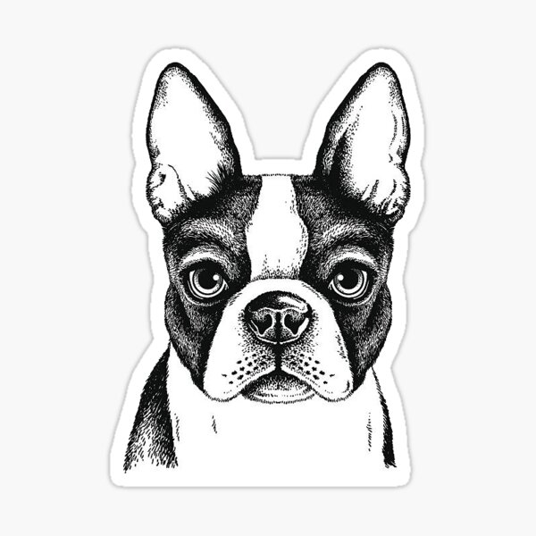 Item preview, Boston terrier  designed and sold by Hillbillyalways.