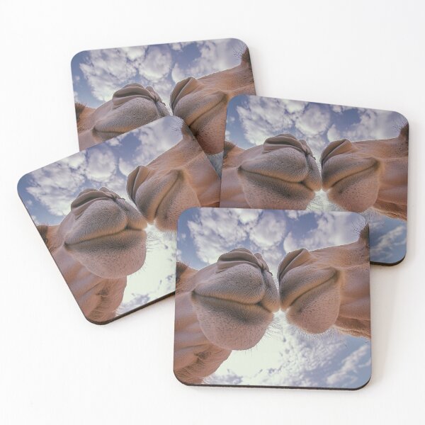 Item preview, Camel Kiss designed and sold by Elisabeth Lucas.