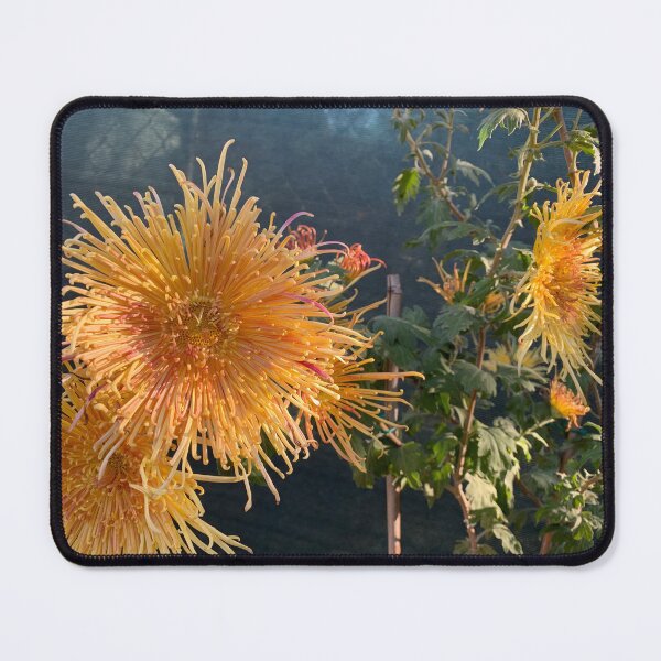 Item preview, Sunny Chrysanthemum designed and sold by agnessa38.