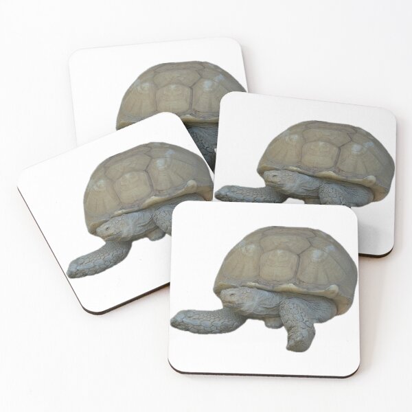 Item preview, Tortoise designed and sold by Andie Janik.