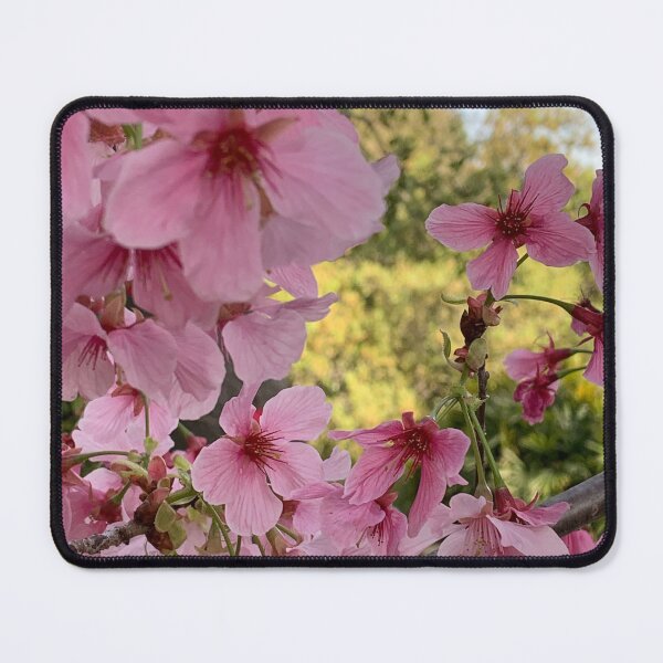 Item preview, Spring - cherry blossom designed and sold by agnessa38.