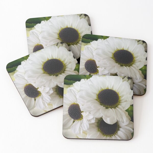 Item preview, Contrast in Daisies  designed and sold by Betsy Phillips.