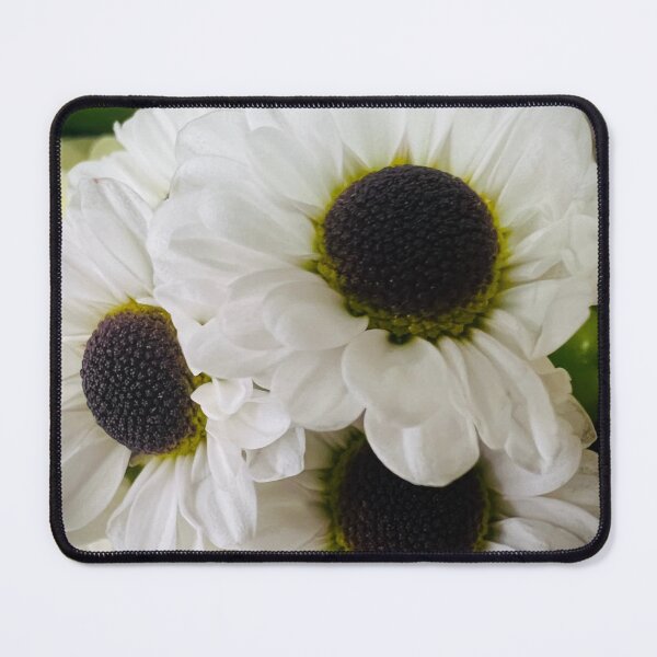 Item preview, Contrast in Daisies designed and sold by Betsy Phillips.