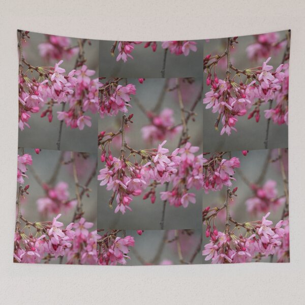 Aperçu de l'œuvre Cheery Cherry Blossoms 1 créée et vendue par WalnutHill.