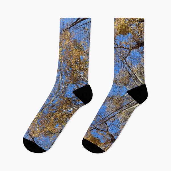 Item preview, Psychedelic Canopy of trees, natures vibrations designed and sold by aadventures.