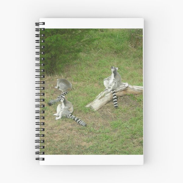 Item preview, Lemurs 003 designed and sold by pasta26mc.