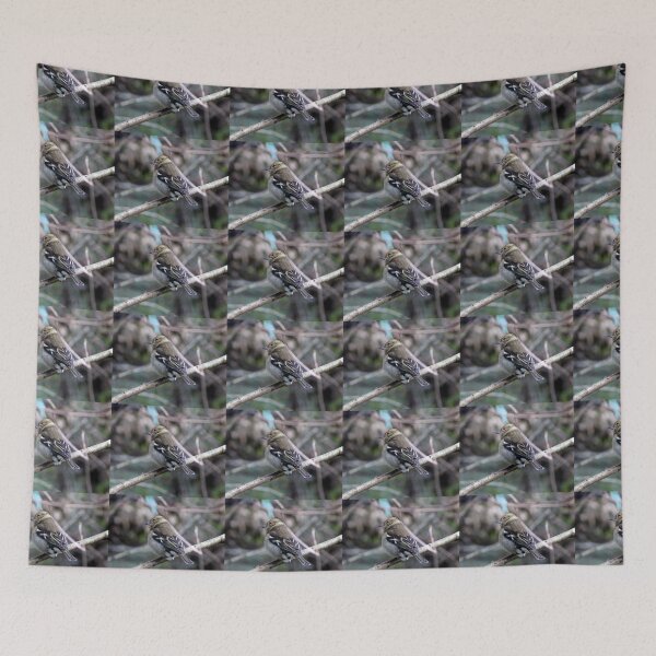 Item preview, chaffinch designed and sold by KathleenDawson.