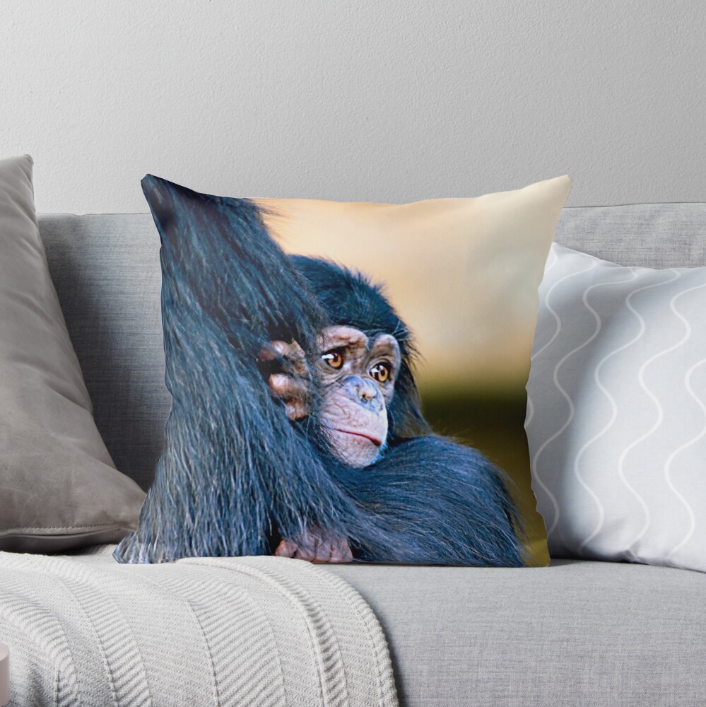 Soulful Throw Pillow