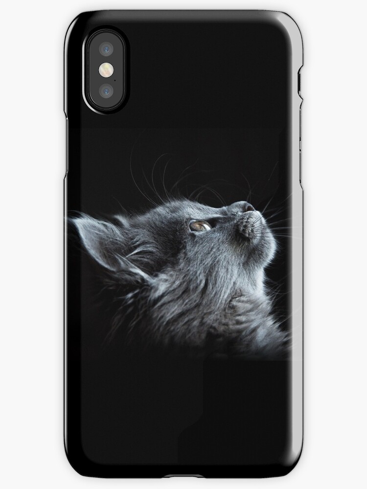 "Grey Cat on Black Background" iPhone Case & Cover by ...