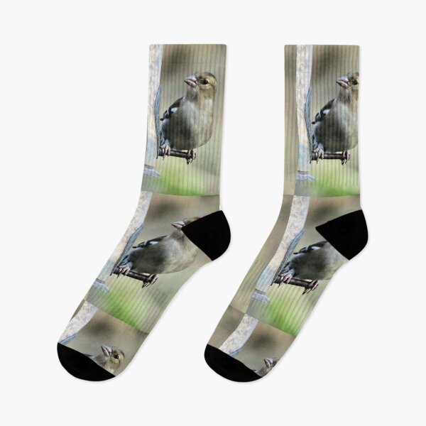 Item preview, chaffinch designed and sold by KathleenDawson.