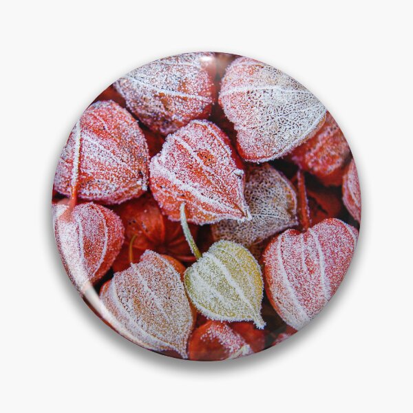Item preview, red physalis with hoarfrost designed and sold by Ingo Gerlach.