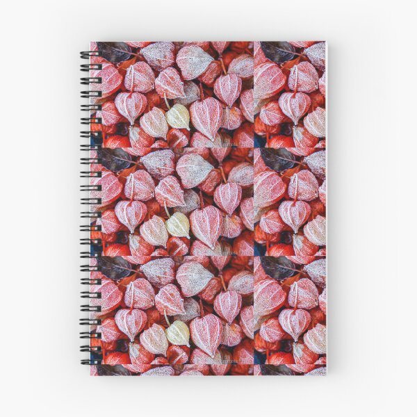 Item preview, red physalis with hoarfrost designed and sold by Ingo Gerlach.