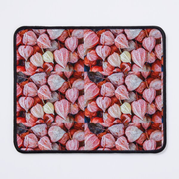 Item preview, red physalis with hoarfrost designed and sold by Ingo Gerlach.