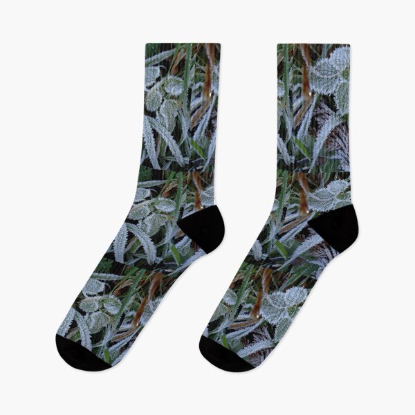 Item preview, The first frosts designed and sold by Ana Belaj.