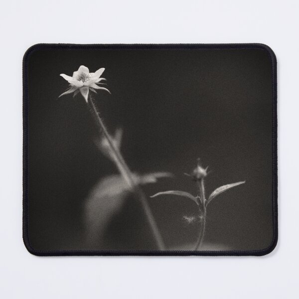 Item preview, Woodland, Study 3 designed and sold by David Bowman.