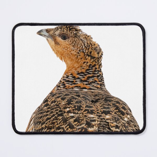 Item preview, capercaillie in the snow designed and sold by Ingo Gerlach.
