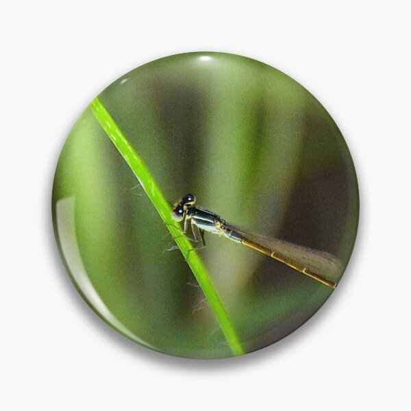 Item preview, Damsel Fly designed and sold by MercerImages.