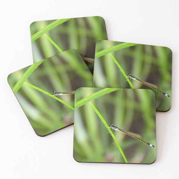 Item preview, Damsel Fly designed and sold by MercerImages.