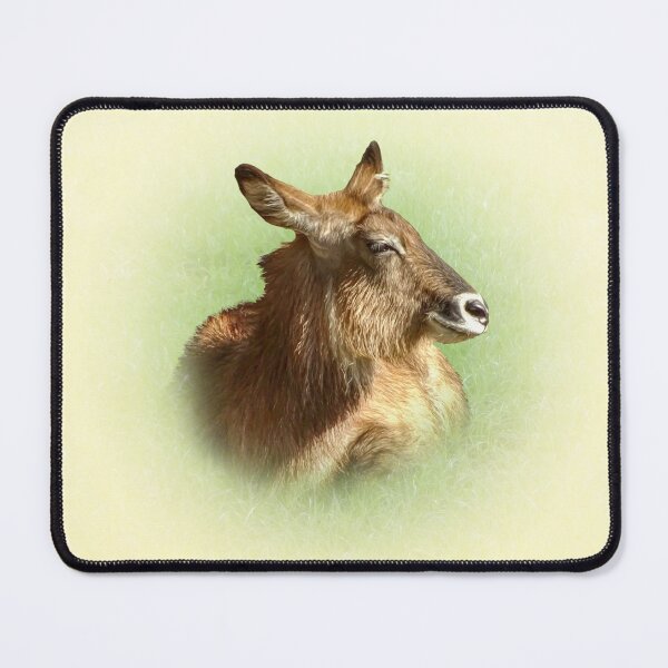 Item preview, Waterbuck designed and sold by Guardi71.