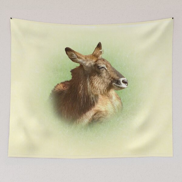 Item preview, Waterbuck designed and sold by Guardi71.