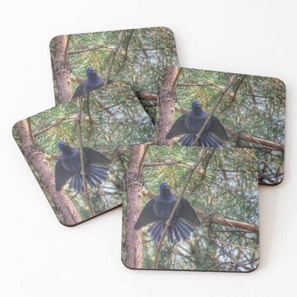 Item preview, Grackle designed and sold by Larrysphotos.