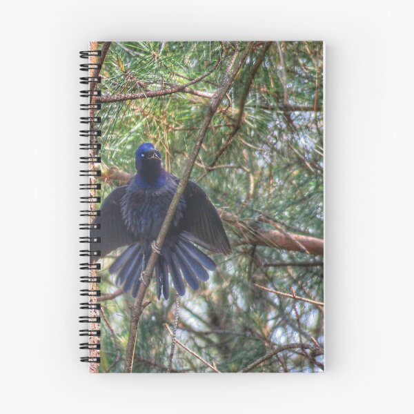 Item preview, Grackle designed and sold by Larrysphotos.