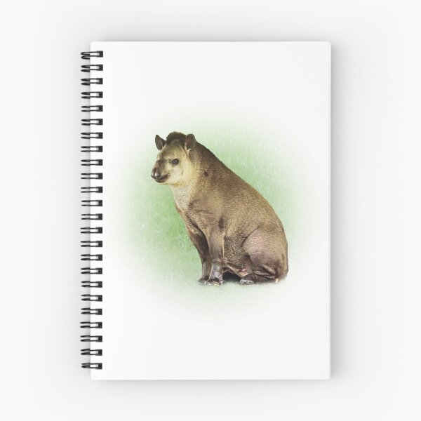 Aperçu de l'œuvre Tapir créée et vendue par Guardi71.