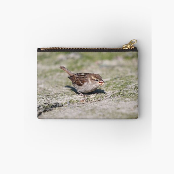 Item preview, Fledgling house sparrow designed and sold by GreyFeatherPhot.