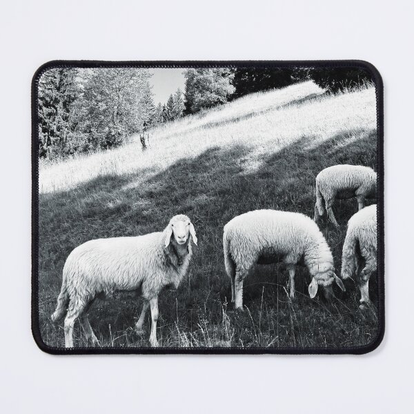 Item preview, sheep designed and sold by ellaschauer.