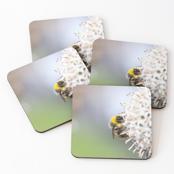 Item preview, White tailed bumblebee on echinops designed and sold by GreyFeatherPhot.