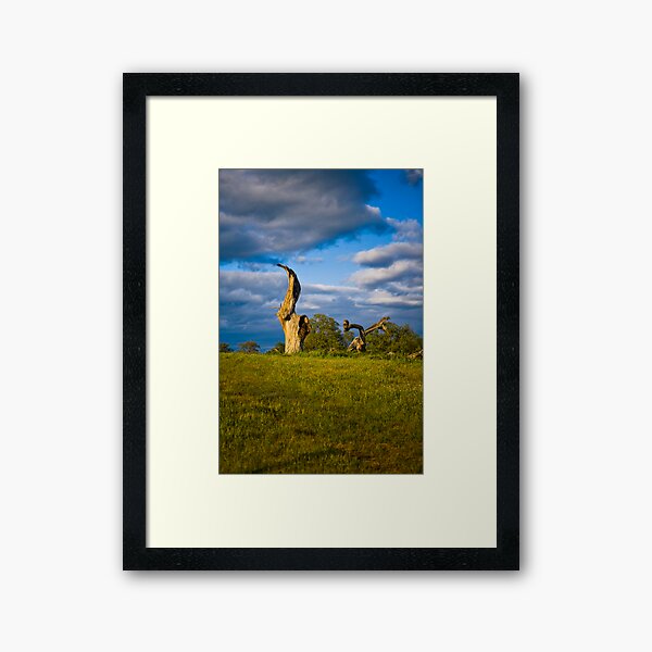 Come Back Its Just a Flesh Wound Framed Art Print