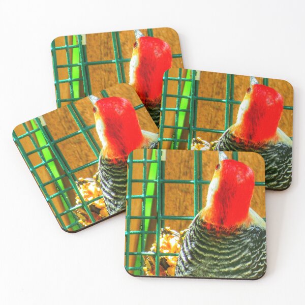 Item preview, Red bellied woodpecker  designed and sold by Larrysphotos.