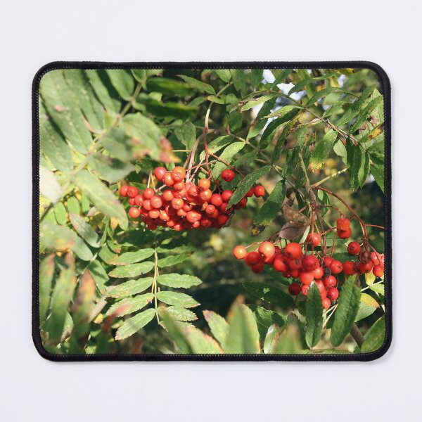 Item preview, Rowan Berries designed and sold by pinkal.