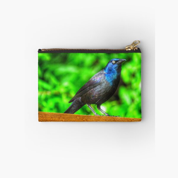 Item preview, Grackle designed and sold by Larrysphotos.