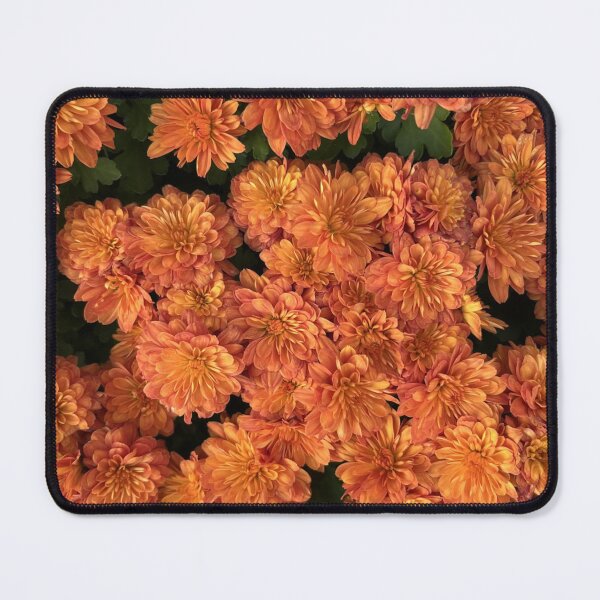Item preview, Orange Mums designed and sold by SIpublishing.