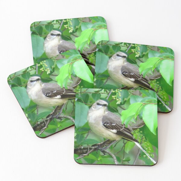 Item preview, Northern mockingbird  designed and sold by Larrysphotos.