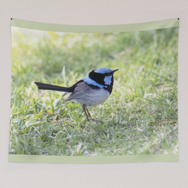 Item preview, Little Blue Wren designed and sold by imaginethis.