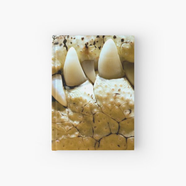 Never Smile at a Crocodile Hardcover Journal