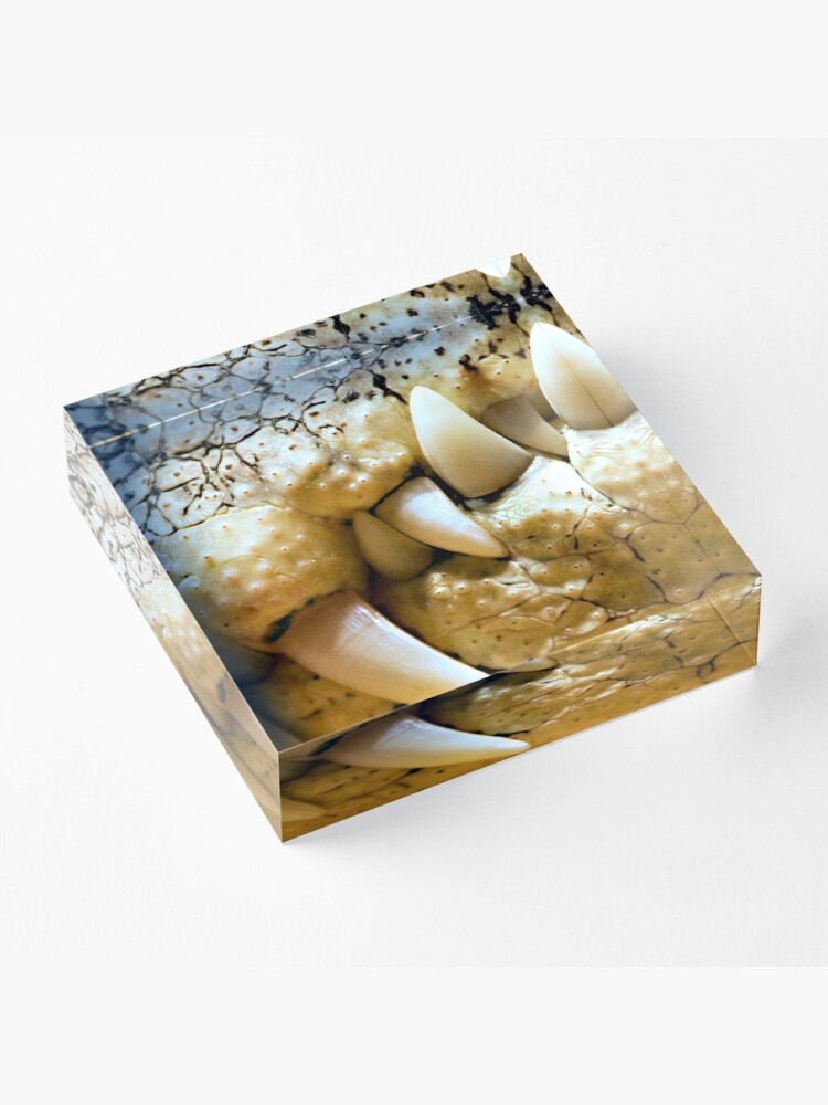 Alternate view of Never Smile at a Crocodile Acrylic Block